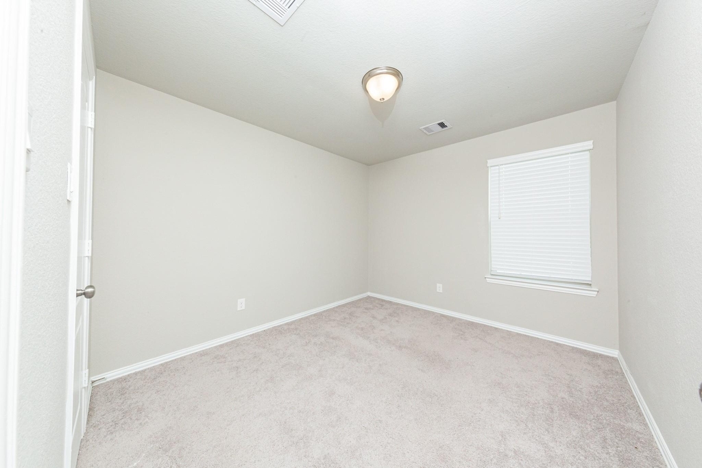 31303 Palomino Ranch Path - Photo 35