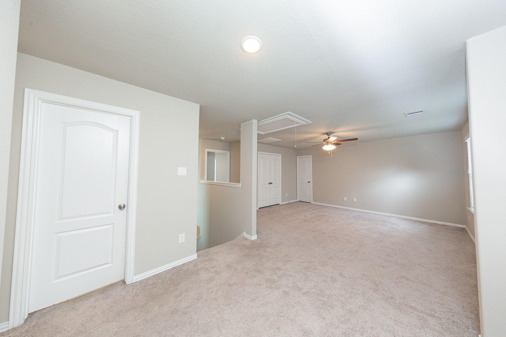 31303 Palomino Ranch Path - Photo 28