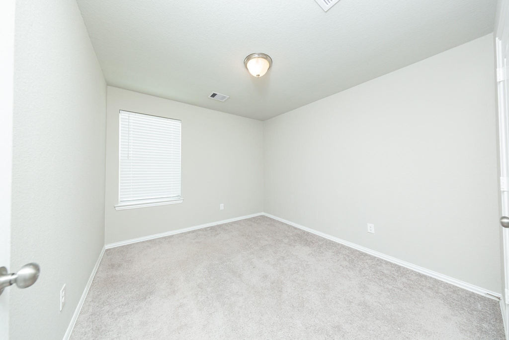 31303 Palomino Ranch Path - Photo 33