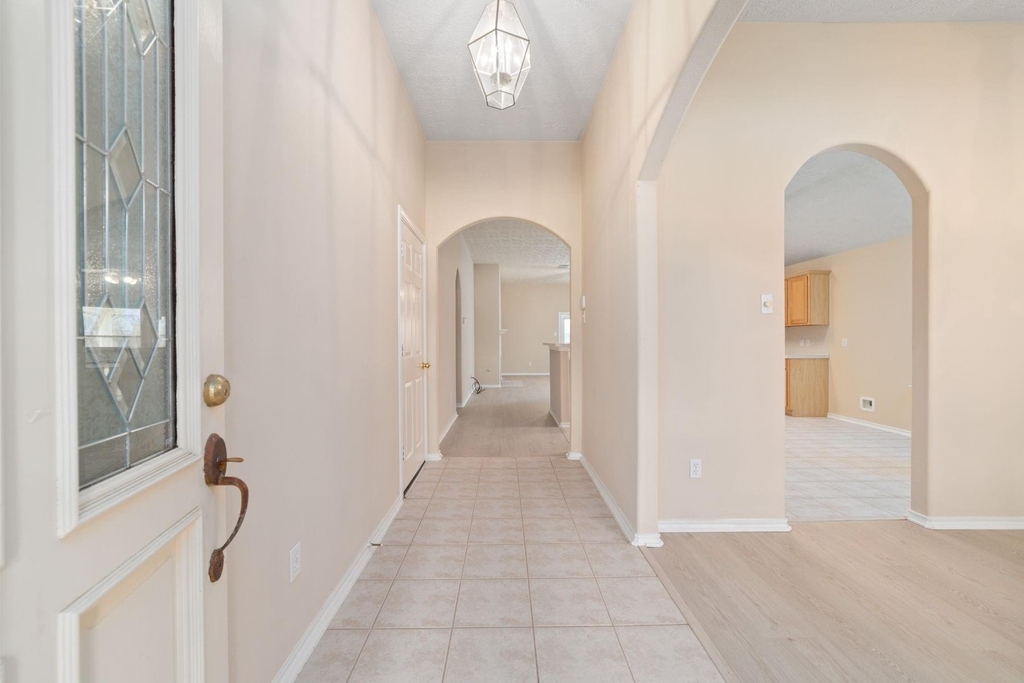 20511 Bouganvilla Blossom Ln Lane - Photo 3