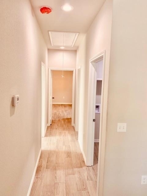 11907 Nelwood Street - Photo 10