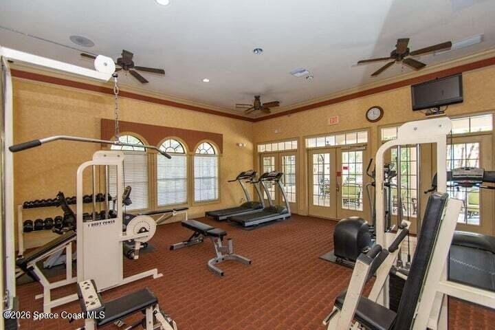 6431 Borasco Drive - Photo 13