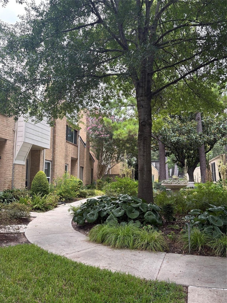 12625 Memorial Drive - Photo 3