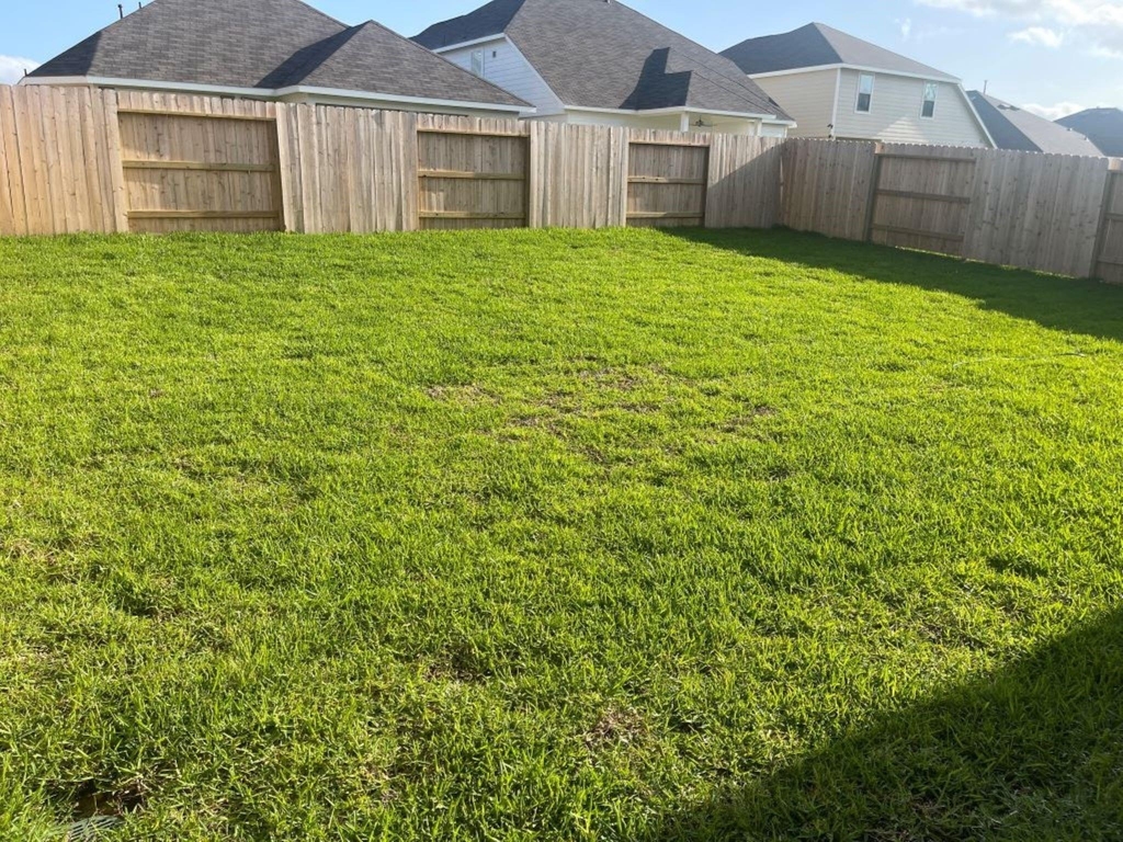 22466 Birchfield Grove Ln Lane - Photo 2