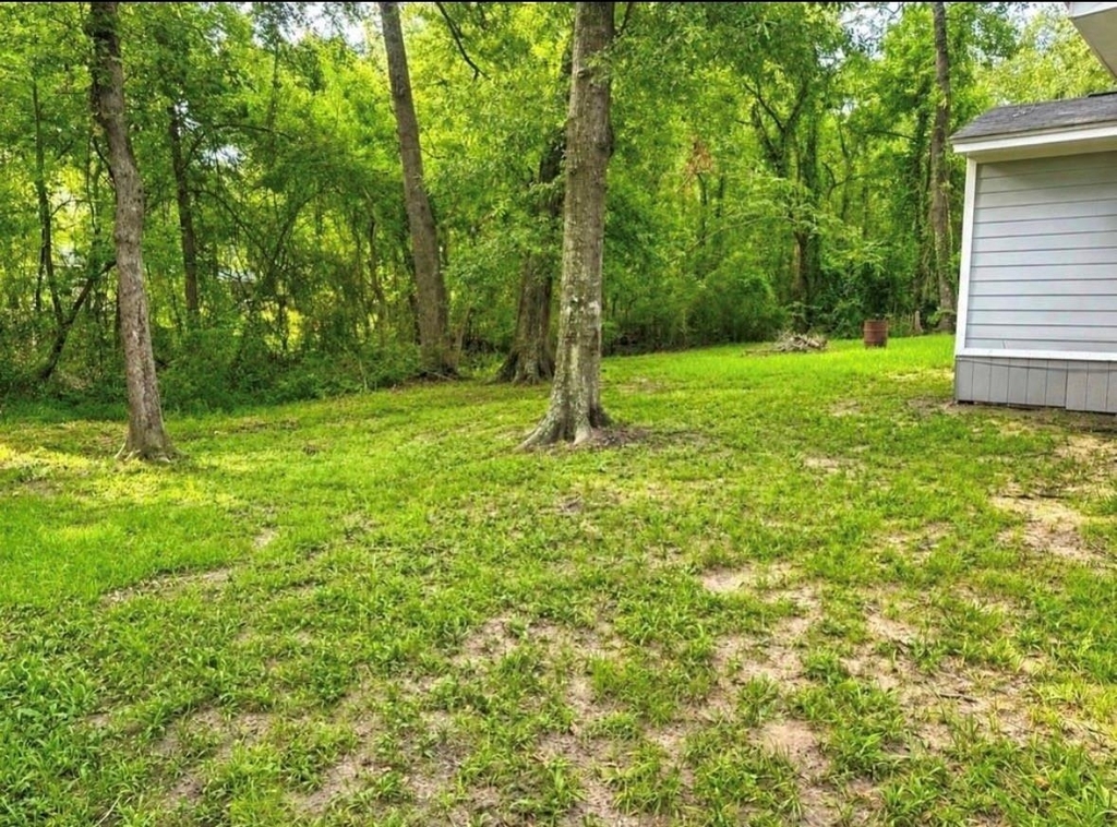 10747 Doe Hill Road - Photo 9