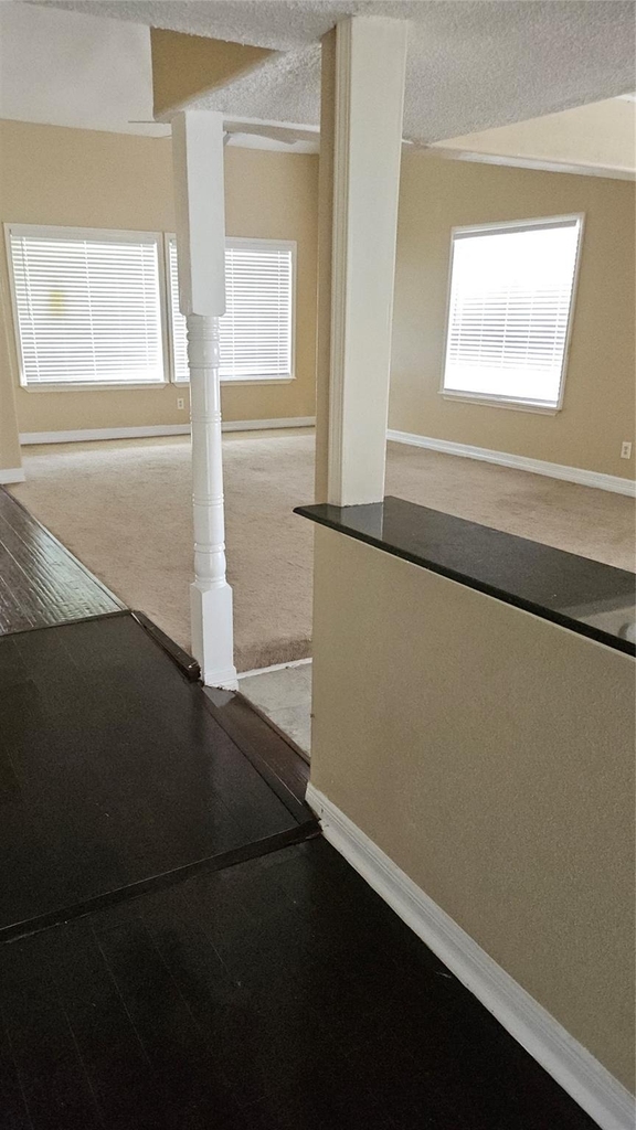 12807 Villawood Lane - Photo 4