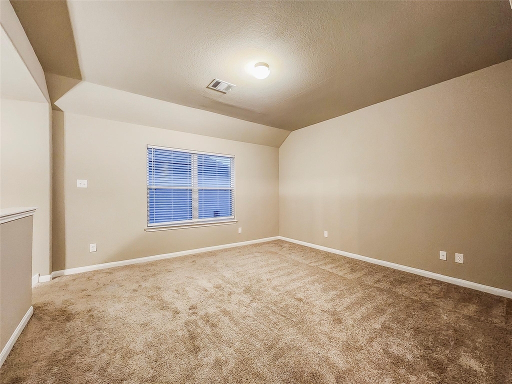 4329 Mcgregor Bluff Lane - Photo 6