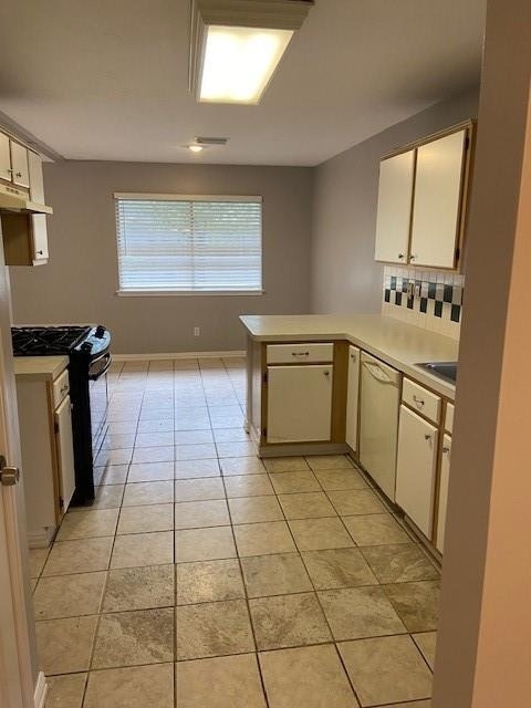 10811 Great Bridge Drive - Photo 2