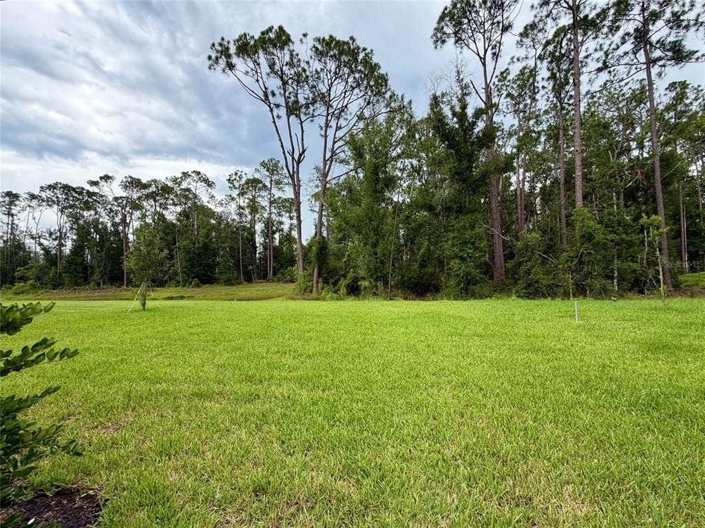33901 Landsman Loop - Photo 21