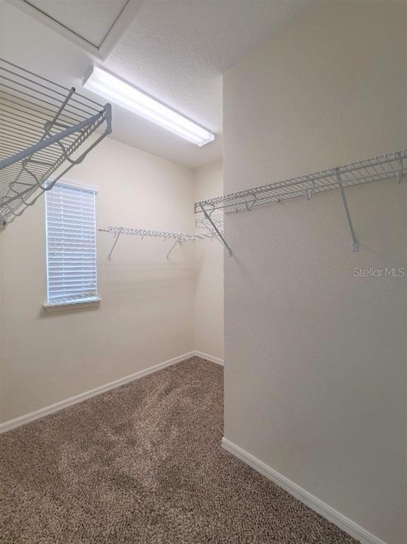 1039 Taramundi Drive - Photo 12
