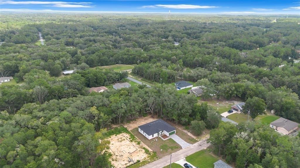 10615 N Didiscus Drive - Photo 3