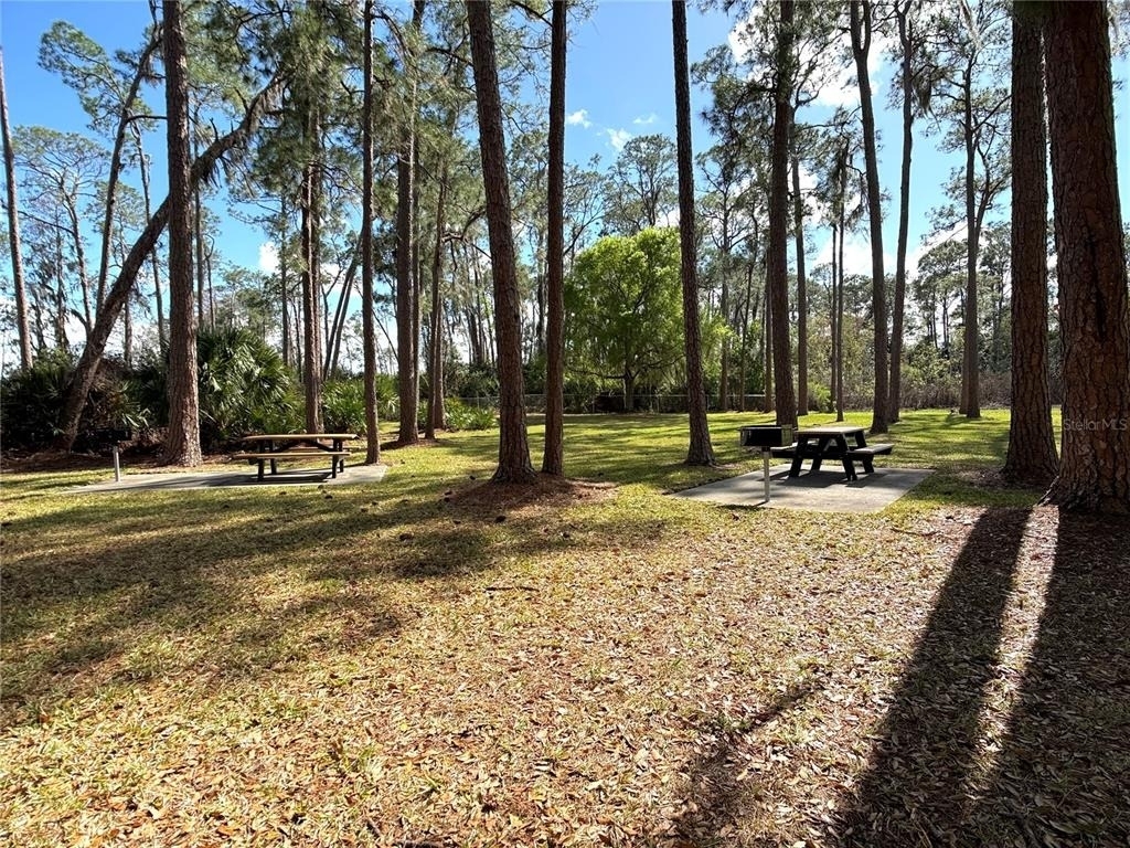 287 Walleye Drive - Photo 37