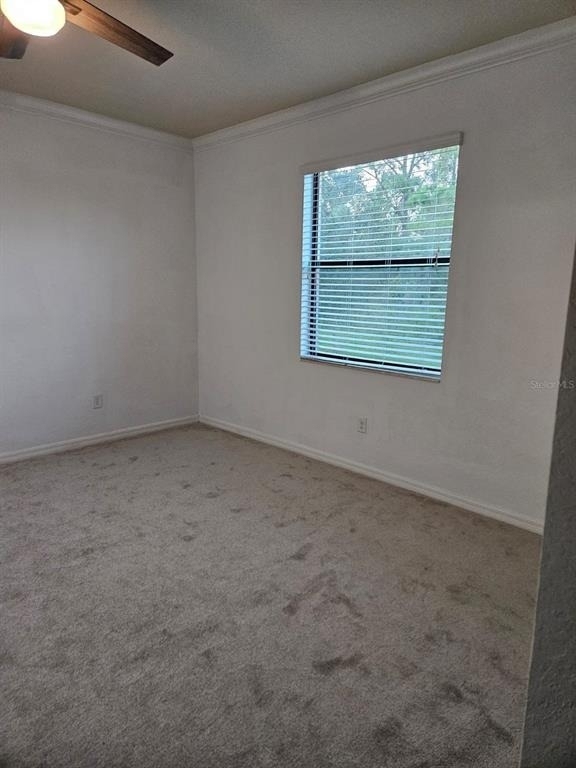 12324 Canavese Lane - Photo 26