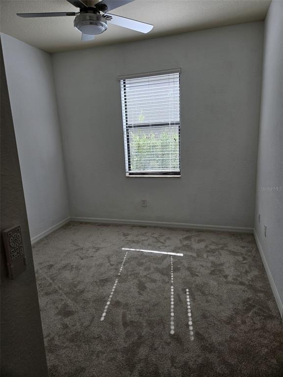 12324 Canavese Lane - Photo 40