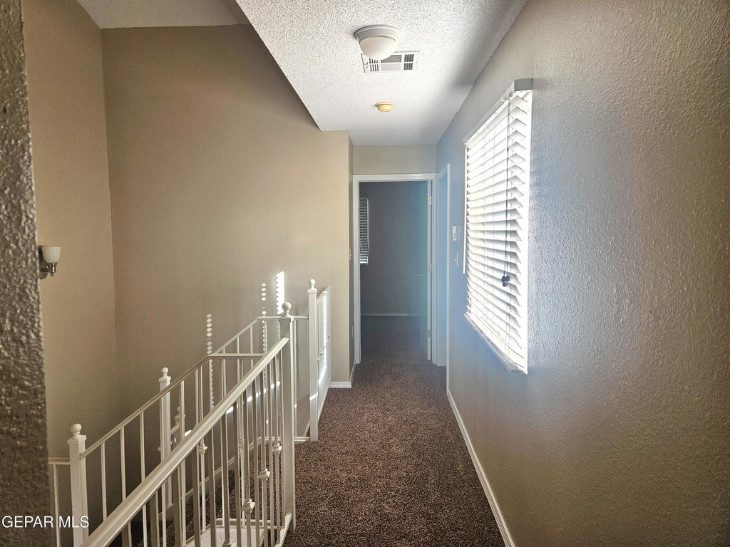 11054 Sunshine Court - Photo 11