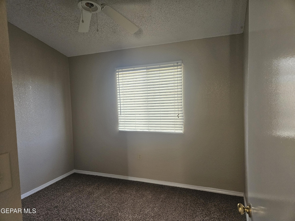 11054 Sunshine Court - Photo 12