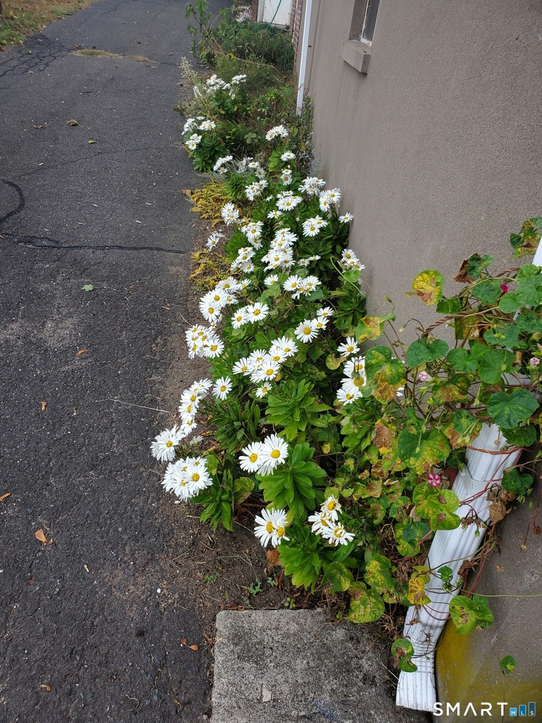 243 Harbor Street - Photo 23