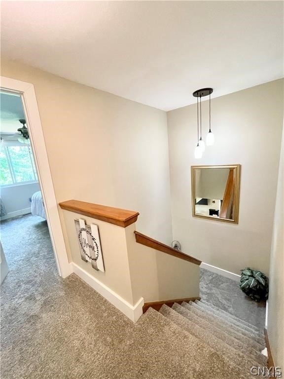 8423 Bubbling Springs Drive - Photo 22