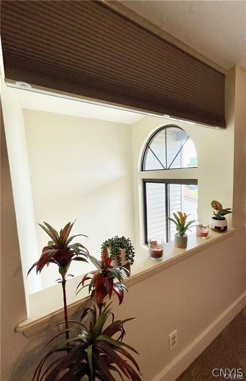 8423 Bubbling Springs Drive - Photo 27