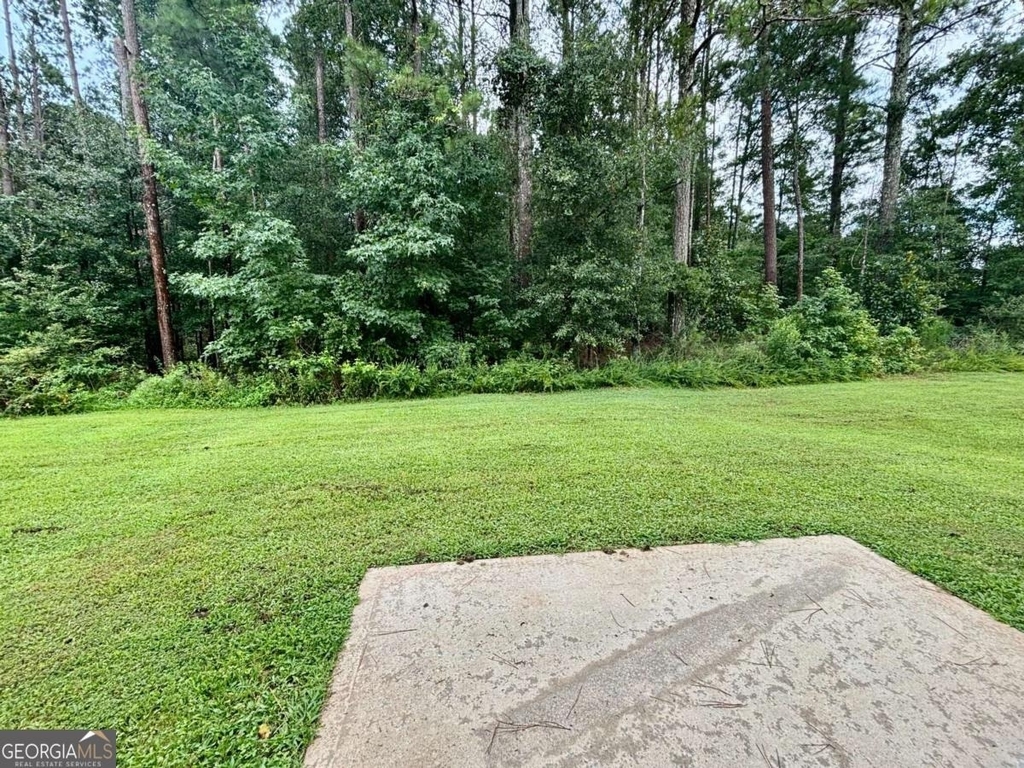 629 Carlton Pointe Drive - Photo 19