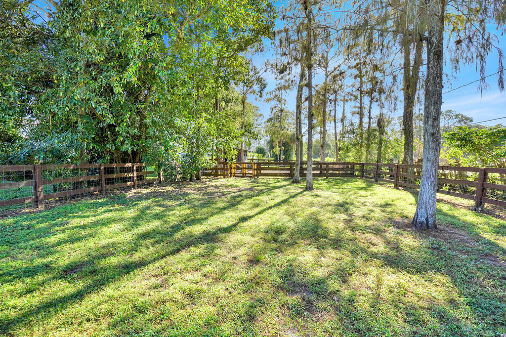 11231 Ira Lane - Photo 14