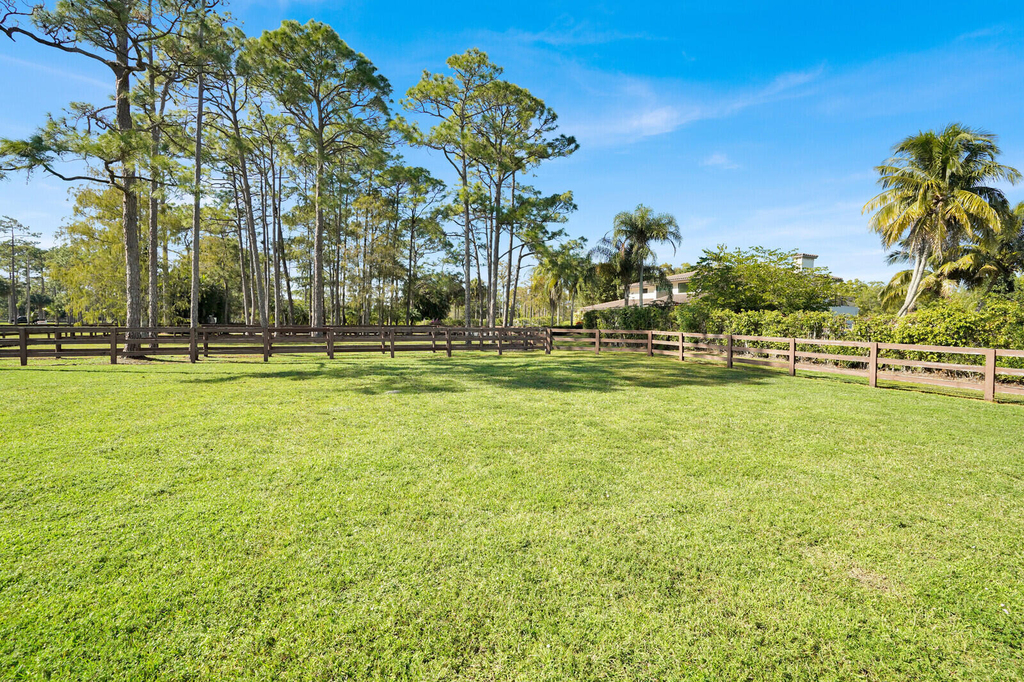 11231 Ira Lane - Photo 4