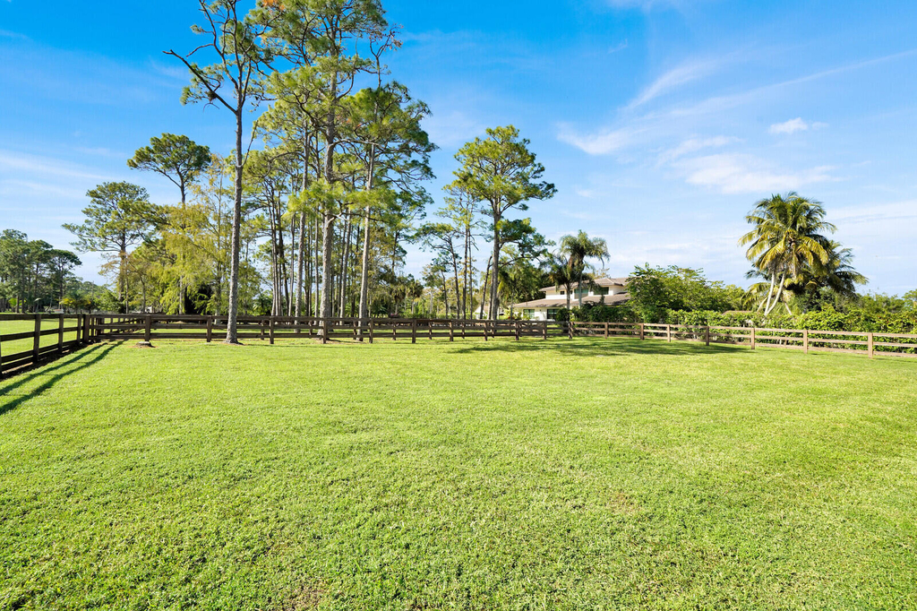 11231 Ira Lane - Photo 6