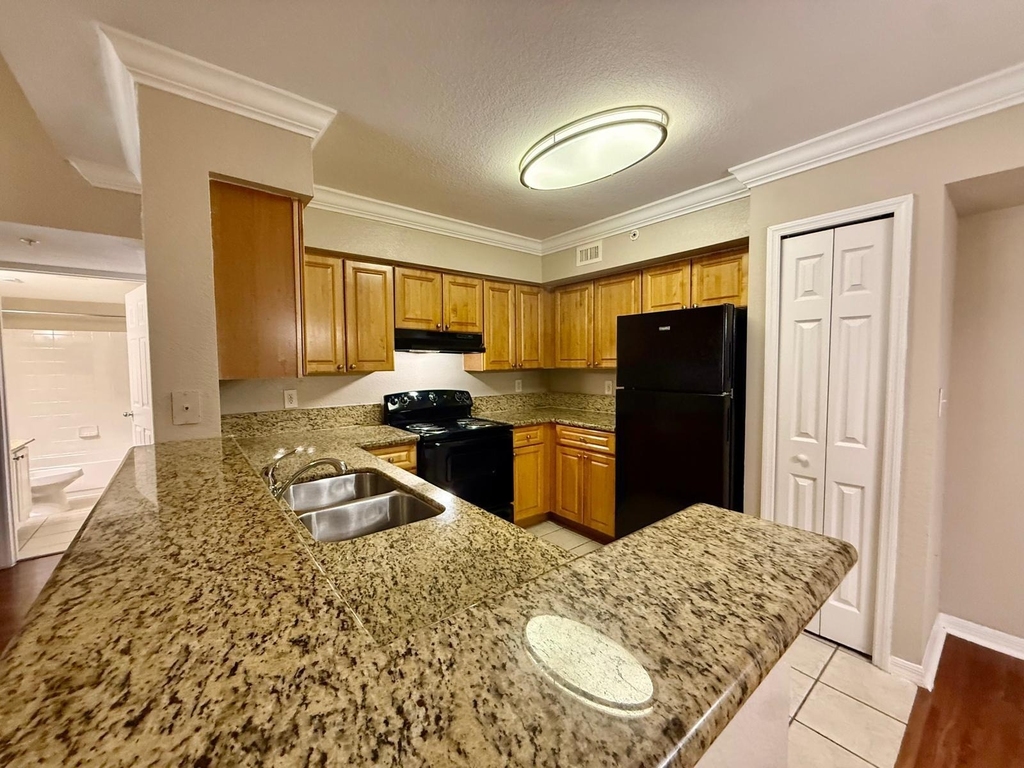 15135 Michelangelo Boulevard - Photo 0
