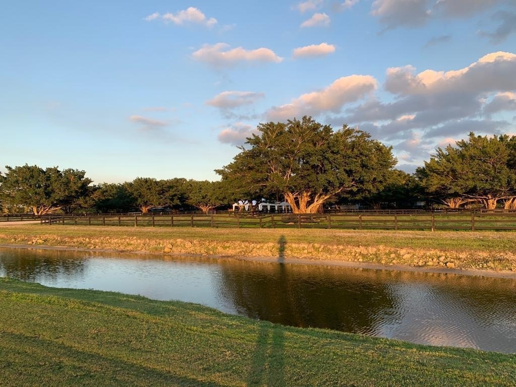 4381 South Road - Photo 5