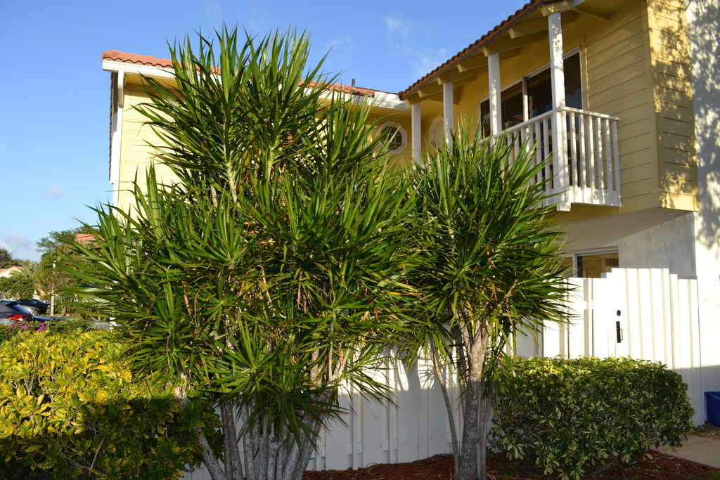 176 Seabreeze Circle - Photo 2