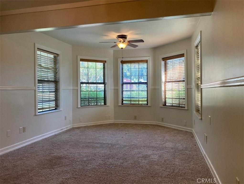 22530 Rolling Meadows - Photo 39