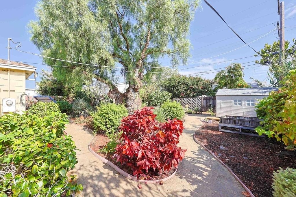 458 Citrus - Photo 34