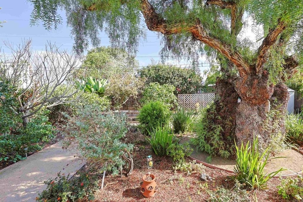 458 Citrus - Photo 25