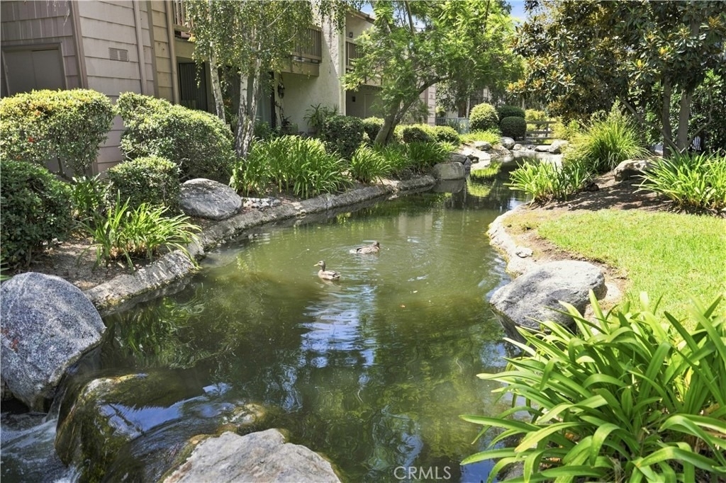 26701 Quail - Photo 27