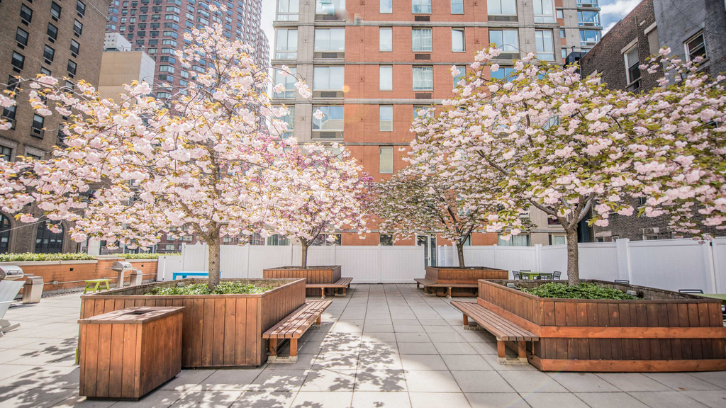 305 West 50th Street - Photo 6