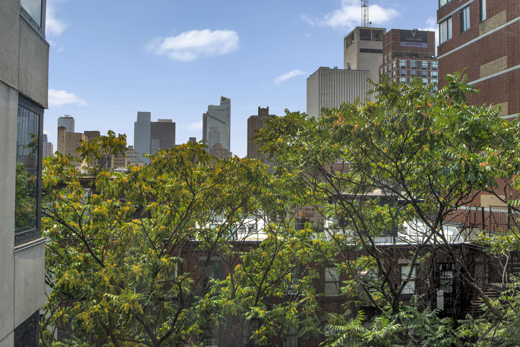 462 W 58th Street - Photo 9