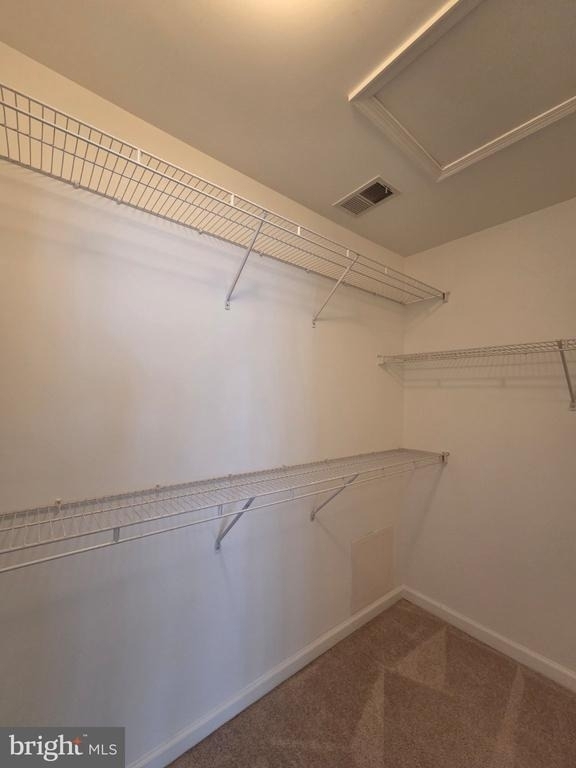 10410 Damascus Park Lane - Photo 16