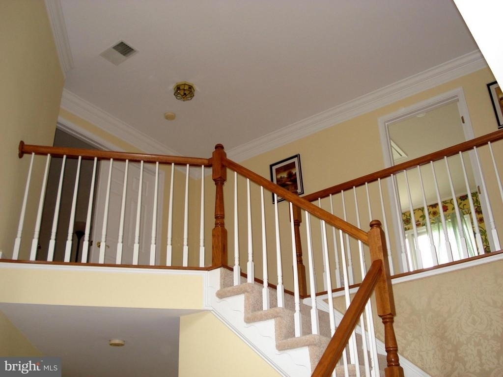 22008 Ivy Leaf Drive - Photo 8