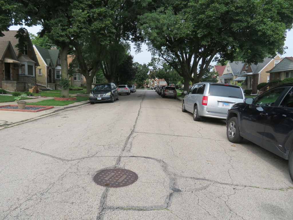 6957 W Fletcher Street - Photo 51