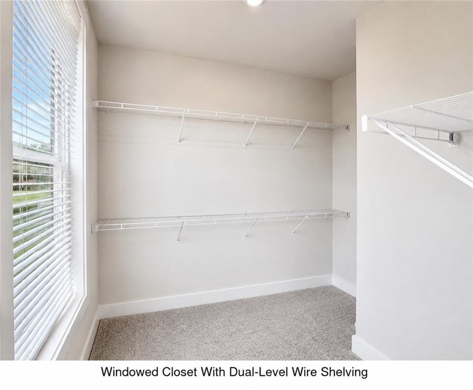 113 Pinecone Parkway - Photo 23