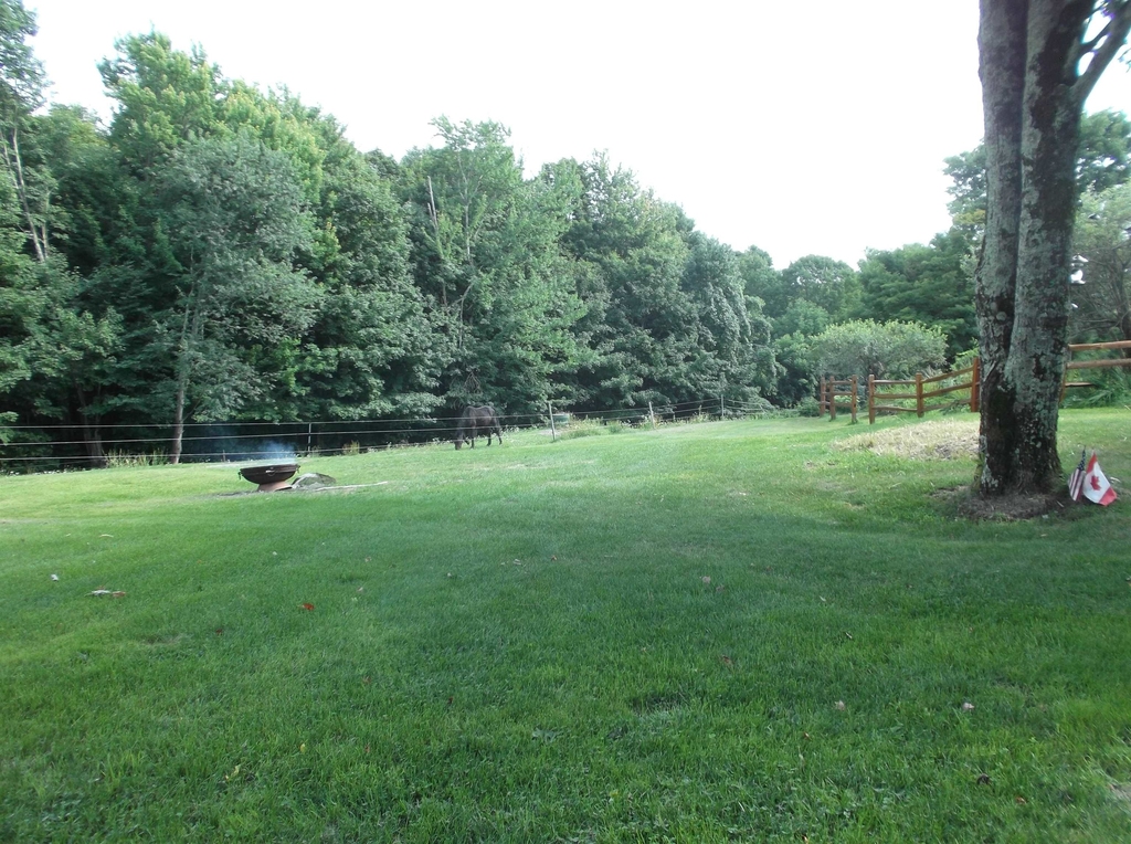 780 Hill - Photo 5