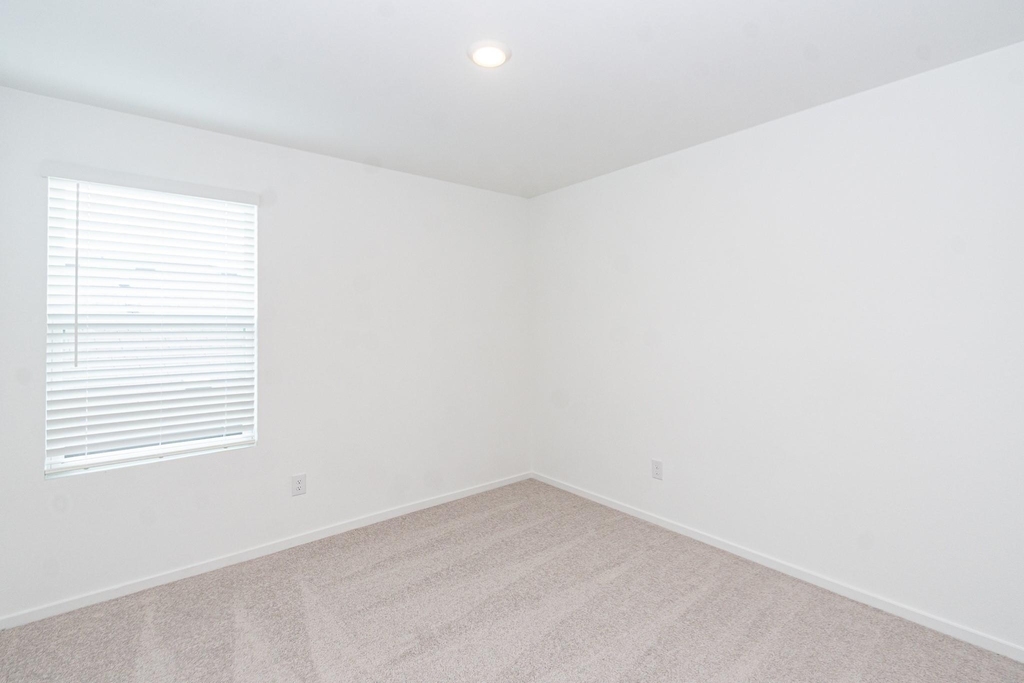 12819 Ivy Creek Ct - Photo 16