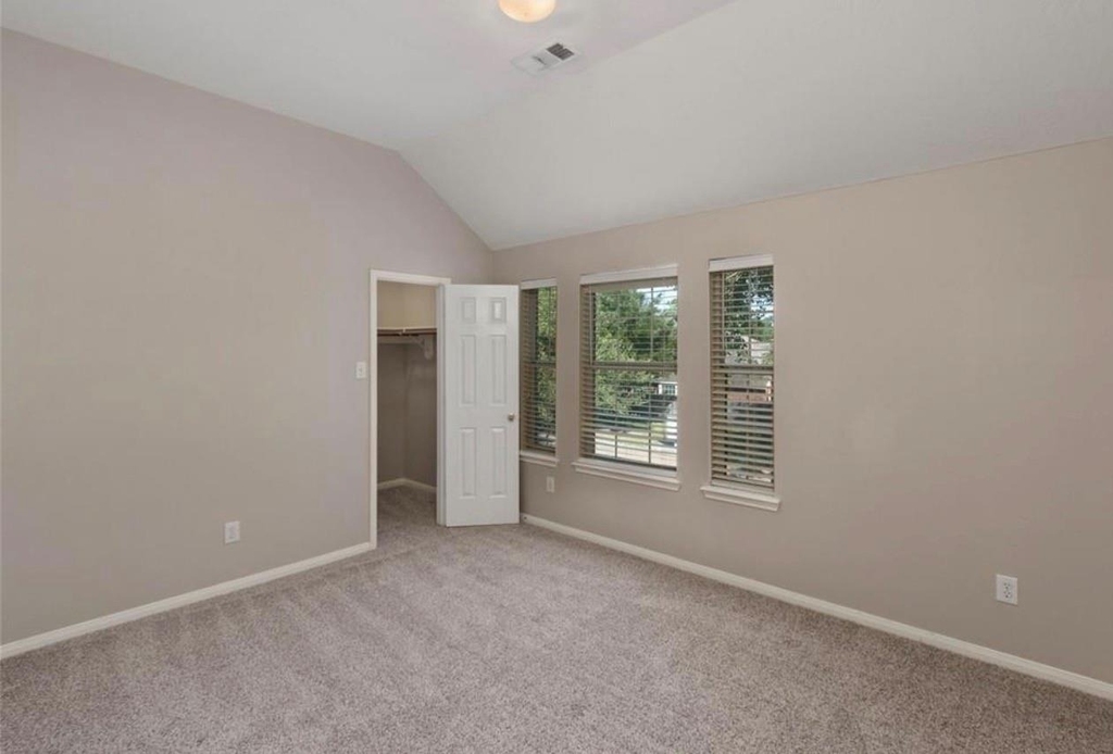 10115 Cottonwood Canyon Drive - Photo 14