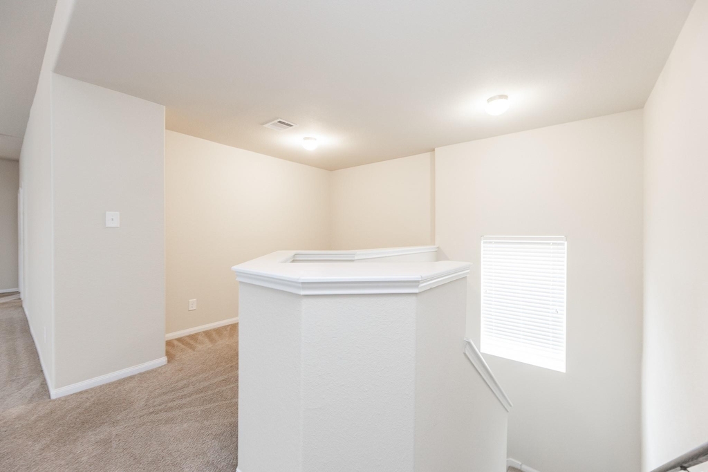 24922 Scarlatti Cantata Drive - Photo 22