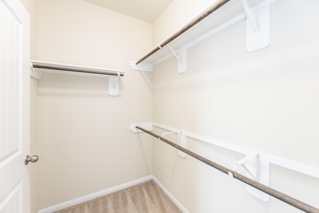 24922 Scarlatti Cantata Drive - Photo 19