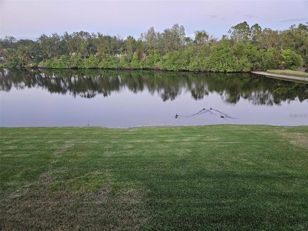 314 Spring Lakes Boulevard - Photo 13