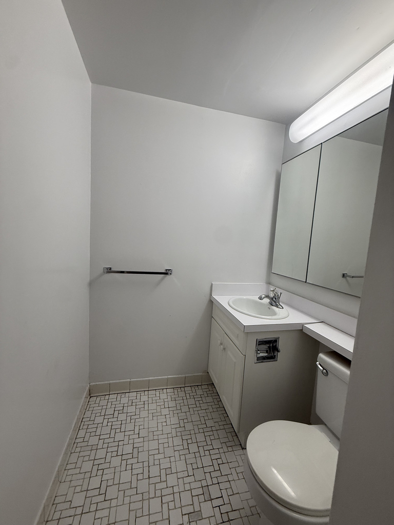 365 West 52nd Street - Photo 14