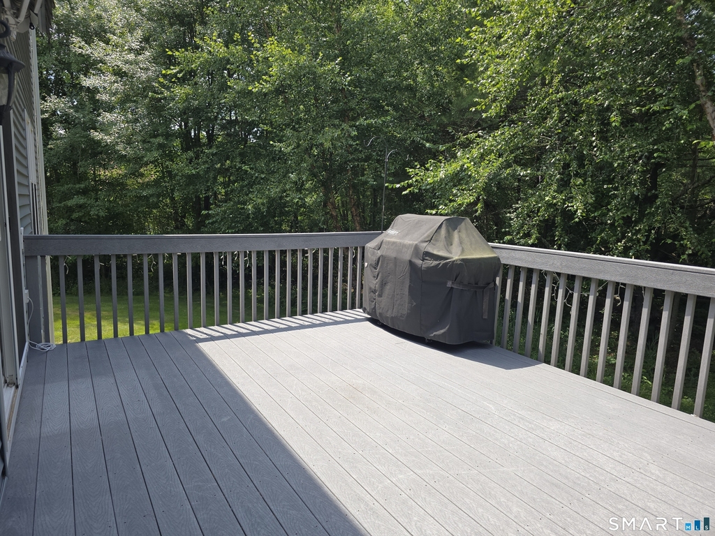299 Bushy Hill Road - Photo 18