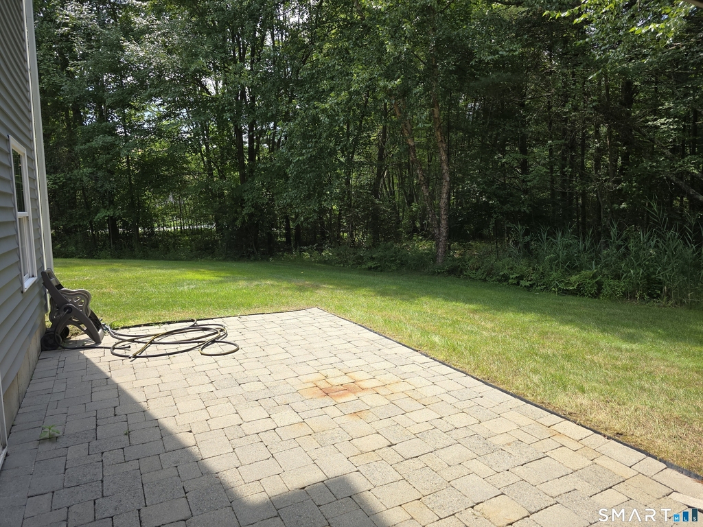 299 Bushy Hill Road - Photo 19