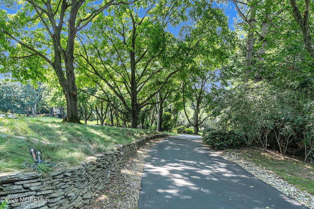 15 Page Drive - Photo 63